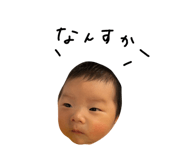 796445855
