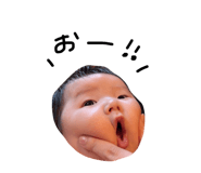 796445856