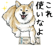 796449927