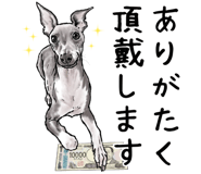 796449928