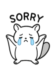 796457155