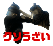 796459622