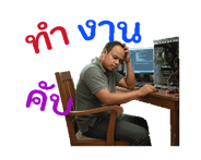 796463113