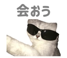 796479466