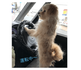 79648836