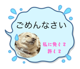796497005