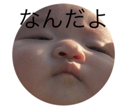 796506481