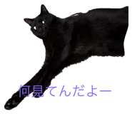 796515389
