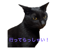 796515402