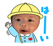 796517661