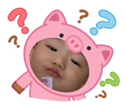 796535504