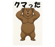 796535912