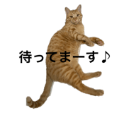 796541961
