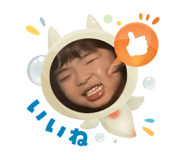 796542058