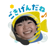 796542064