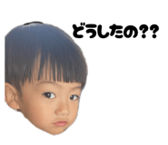 796544213