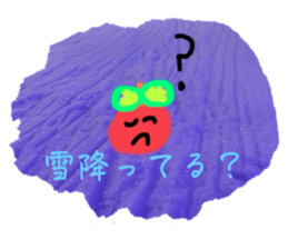 796550421