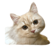 796550458