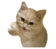 796550460