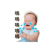 796552445