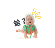 796552458