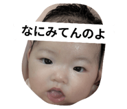 796553720