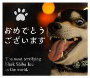 796561138