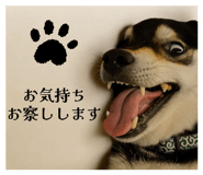 796561143