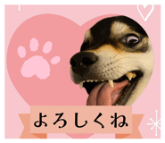 796561148