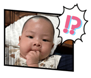 796571729