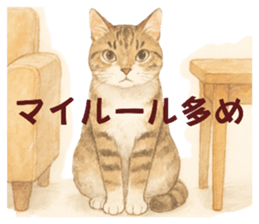 796578521