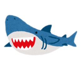 796581555