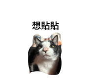 796585942