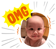 796589536