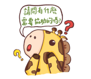 796602555