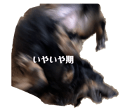 796611624