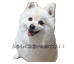 796623141