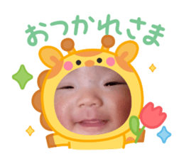 796623537