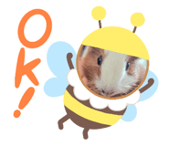 796627628