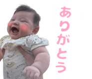 796631065