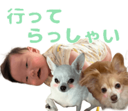 796631071