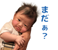 796631076