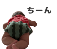 796631081