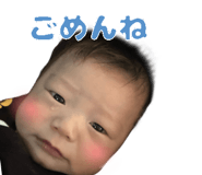 796631085
