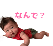 796631099