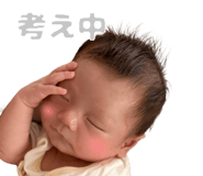796631102