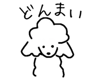 796643764