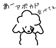 796643771