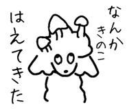 796643772