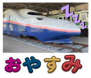 796645284